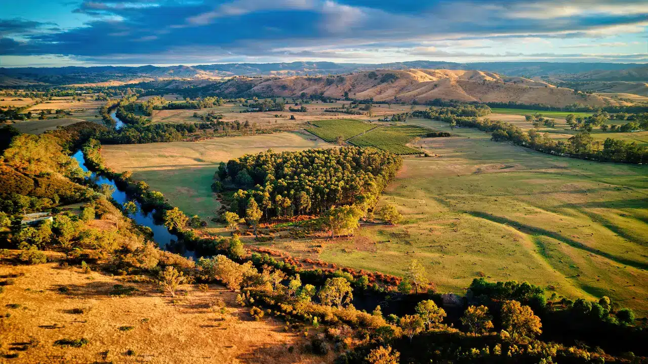 An Aerial View of a Farmland in Taggerty