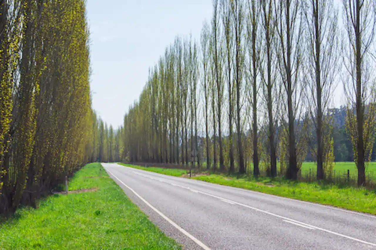 Marysville Road