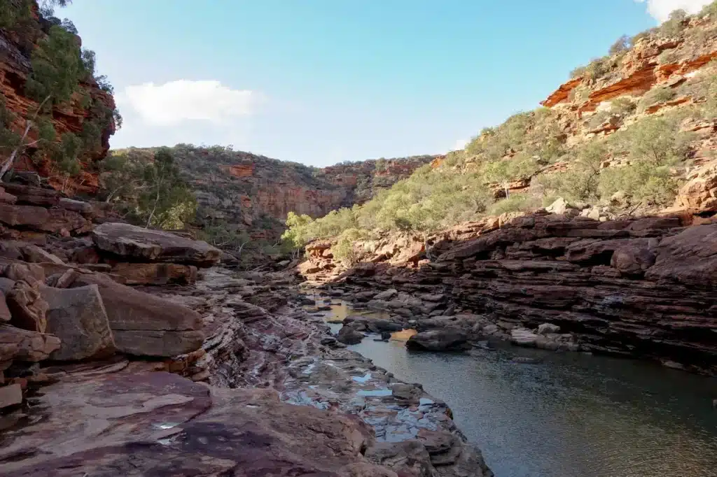 Murchison River