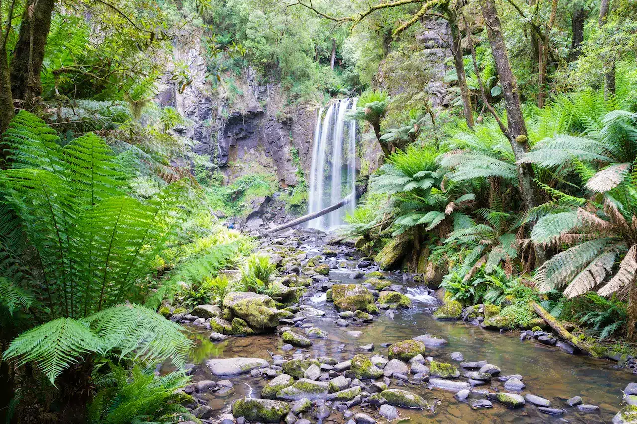 Tanglefoot Loop